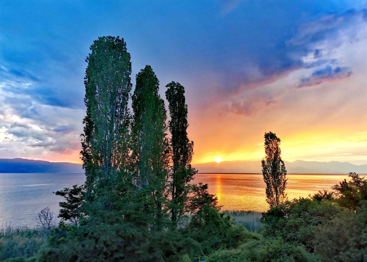 Villa Kalina Ohrid Ngoại thất bức ảnh